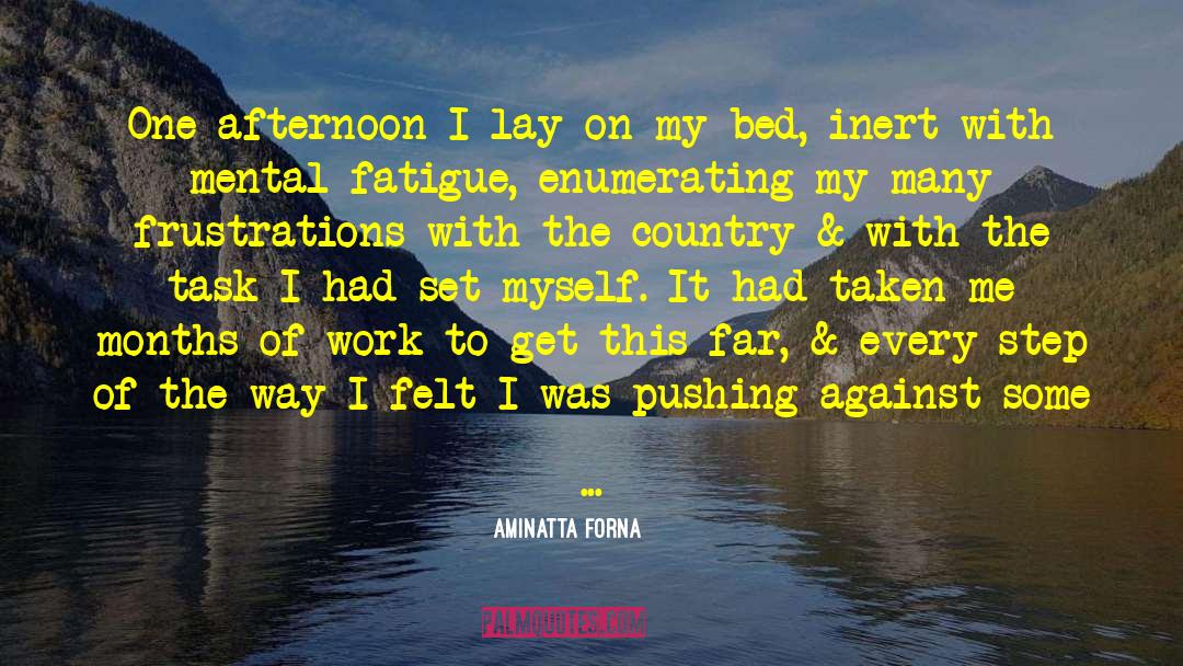 Demetrious Mighty quotes by Aminatta Forna
