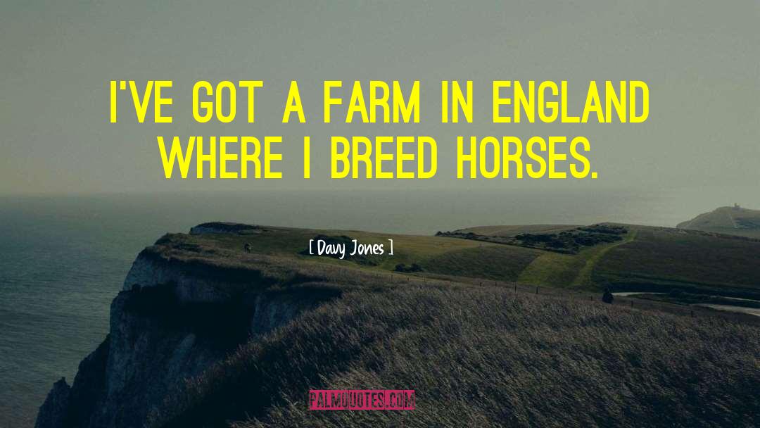 Demeulenaere Farms quotes by Davy Jones