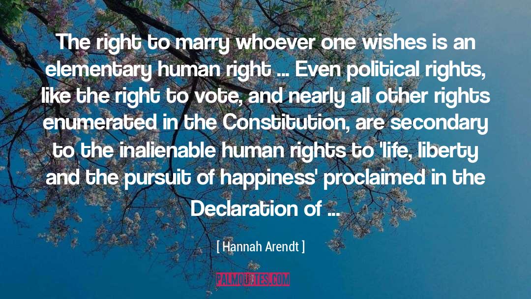 Democracy And Human Rights quotes by Hannah Arendt