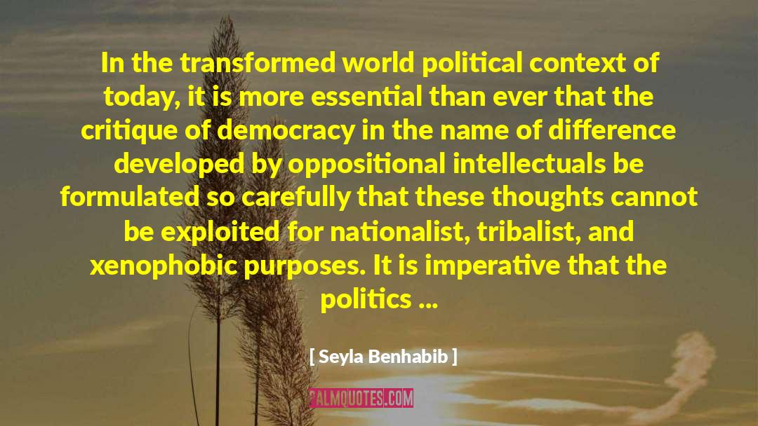 Democracy Definition quotes by Seyla Benhabib