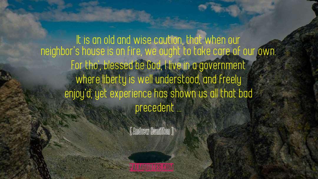 Democracy Freedom quotes by Andrew Hamilton