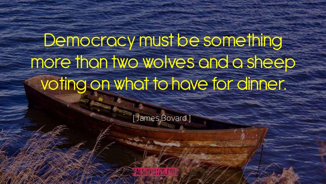 Democracy Freedom quotes by James Bovard