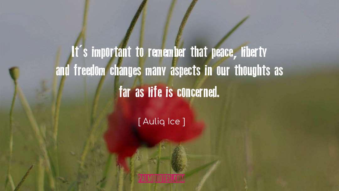 Democracy Freedom quotes by Auliq Ice
