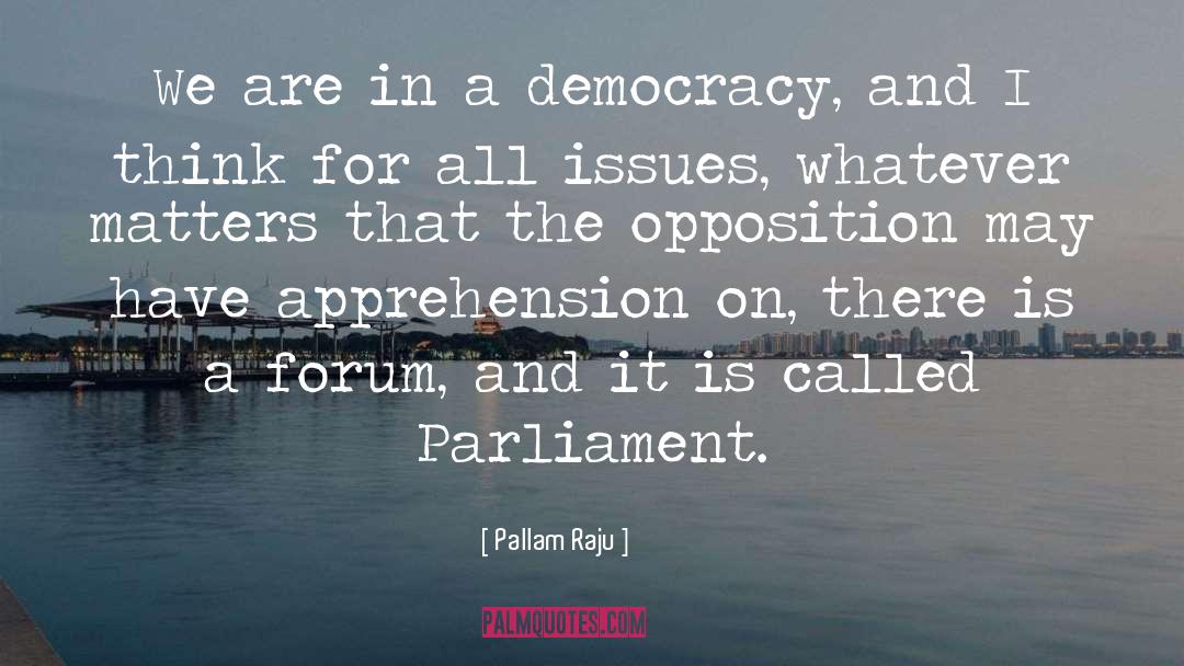 Democracy In America quotes by Pallam Raju