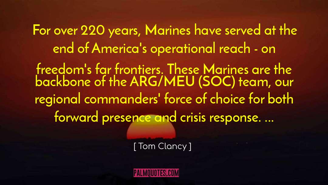 Democratic Freedoms quotes by Tom Clancy