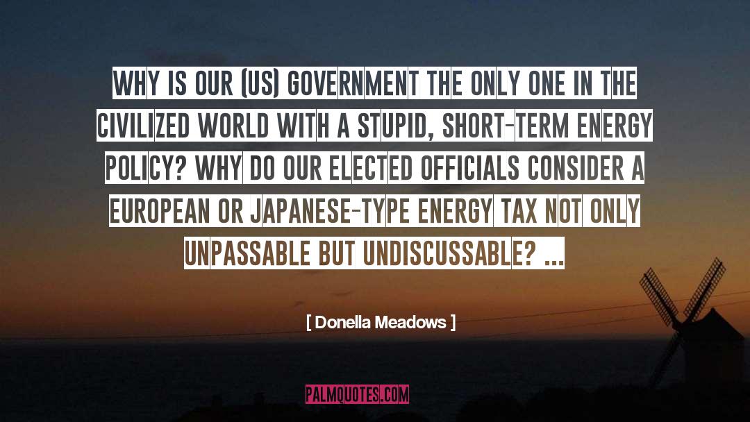 Democratic Government quotes by Donella Meadows