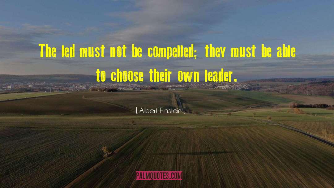 Democratic Leaders quotes by Albert Einstein
