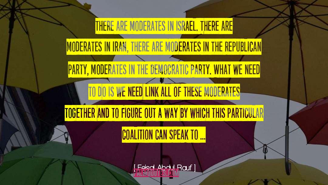 Democratic Party quotes by Feisal Abdul Rauf