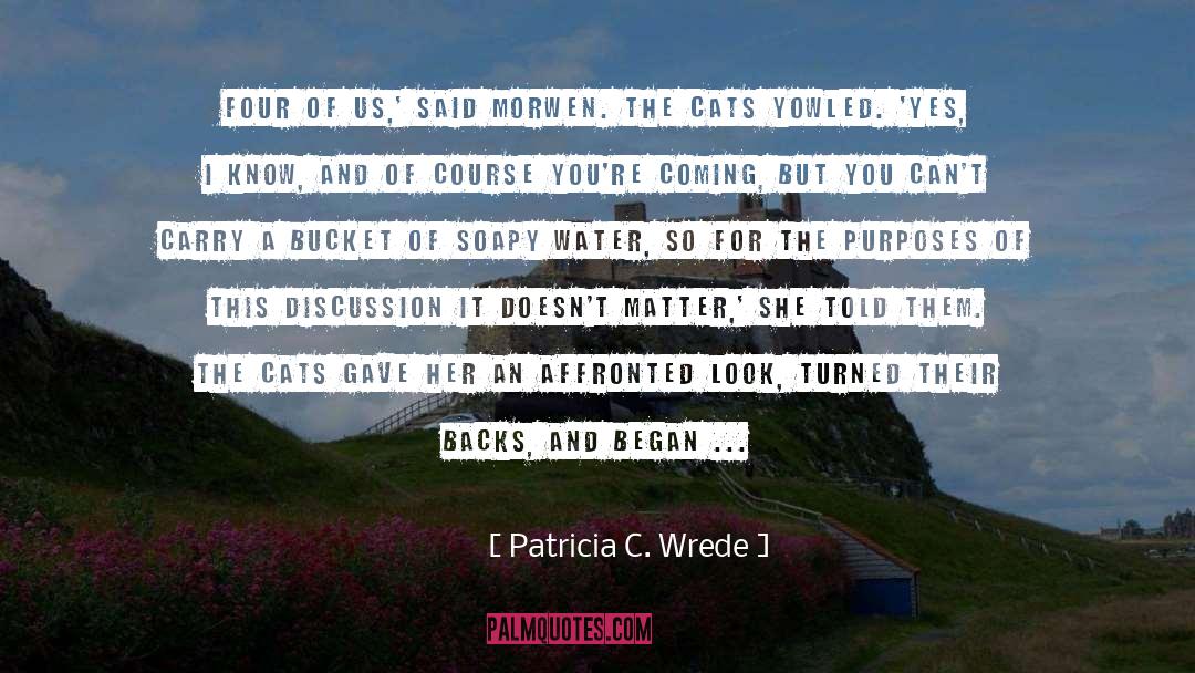 Demographics Of Us quotes by Patricia C. Wrede