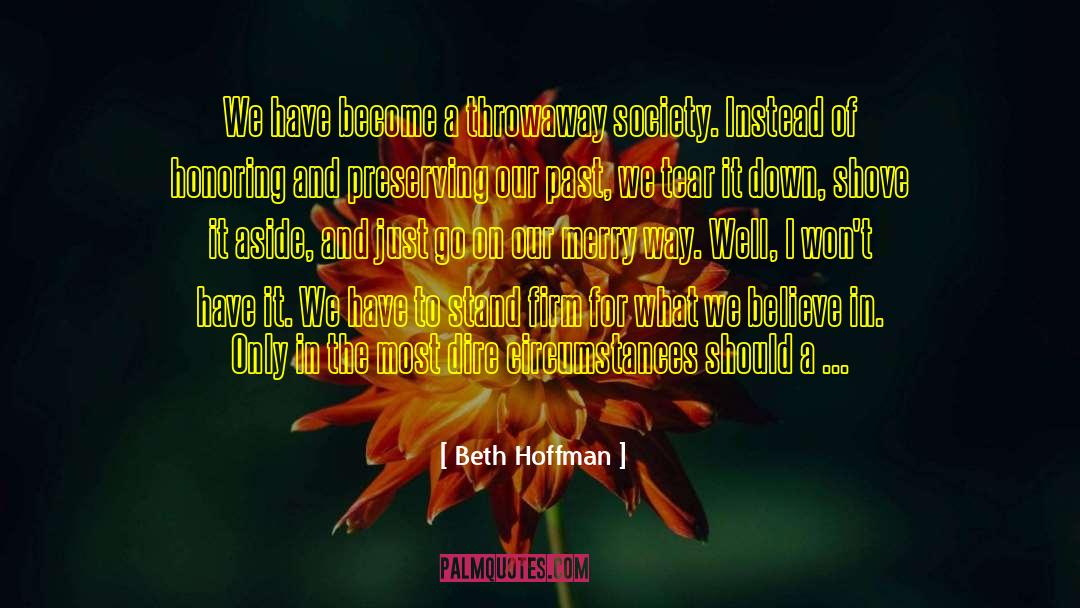 Demolished quotes by Beth Hoffman