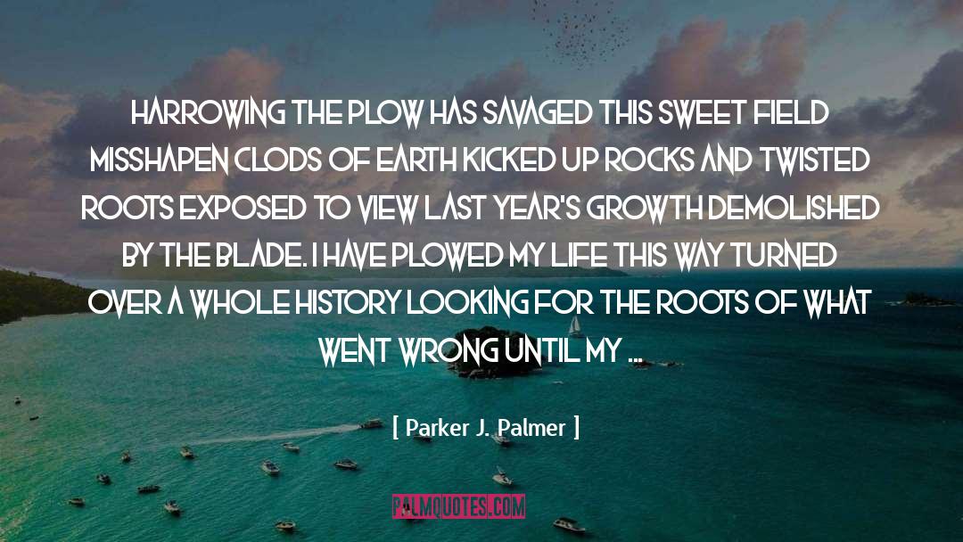 Demolished quotes by Parker J. Palmer