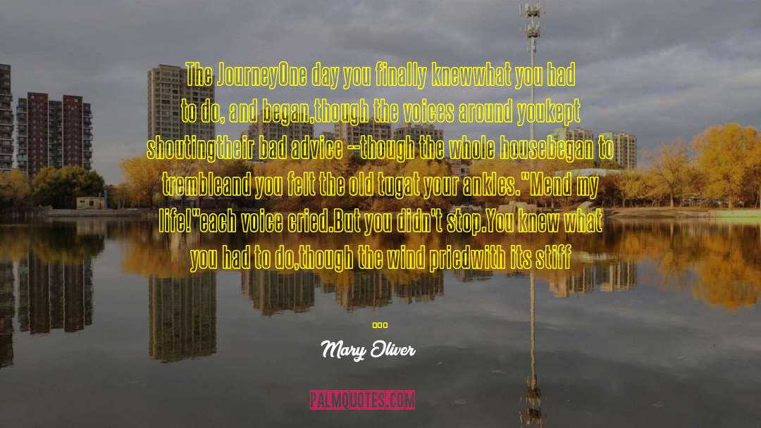 Demolition Of Old Foundations quotes by Mary Oliver