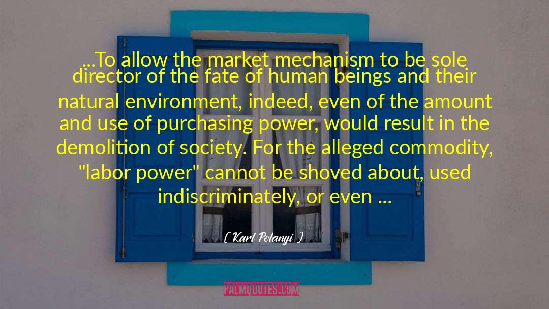 Demolition quotes by Karl Polanyi