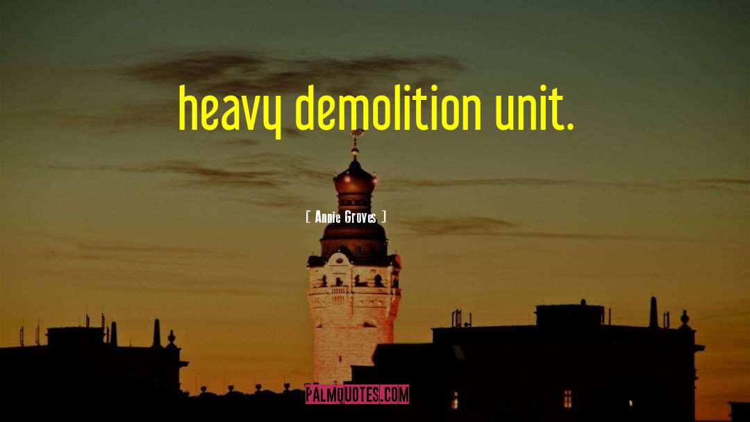 Demolition quotes by Annie Groves