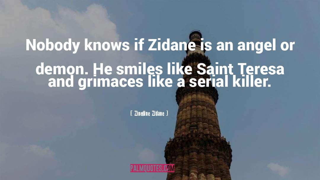 Demon Brother quotes by Zinedine Zidane
