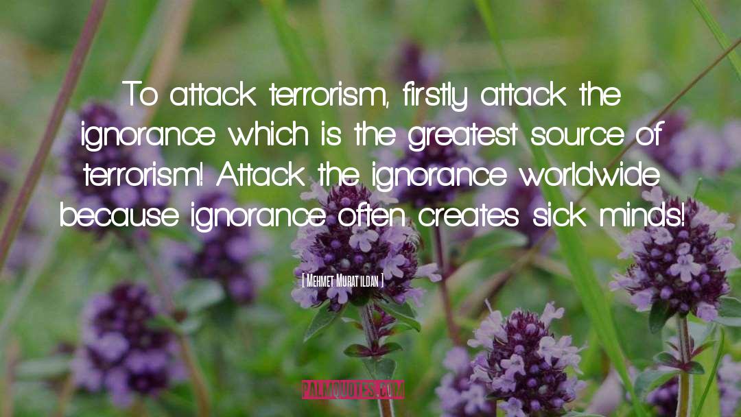 Demonic Attack quotes by Mehmet Murat Ildan