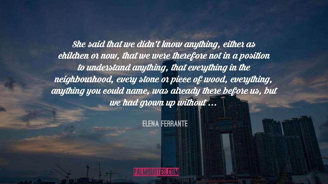 Demonic Oppression quotes by Elena Ferrante