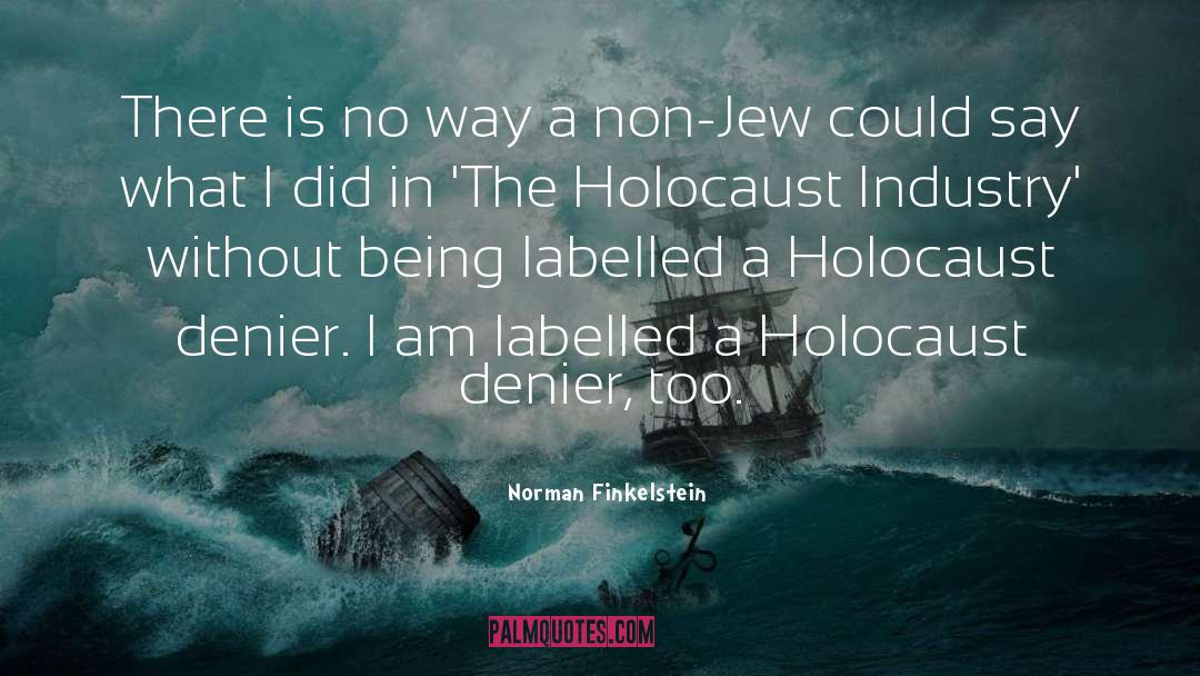 Denier quotes by Norman Finkelstein