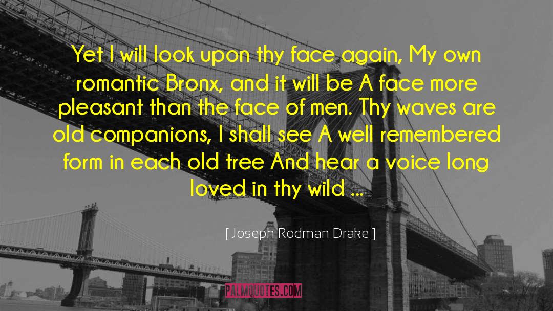 Dennia Rodman quotes by Joseph Rodman Drake