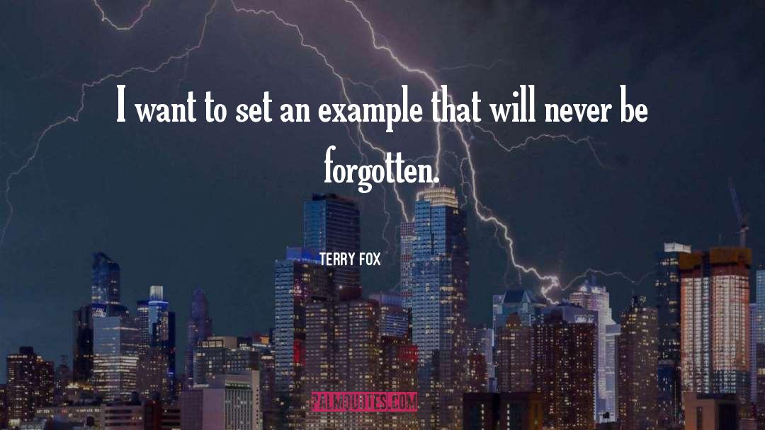 Denotations Example quotes by Terry Fox