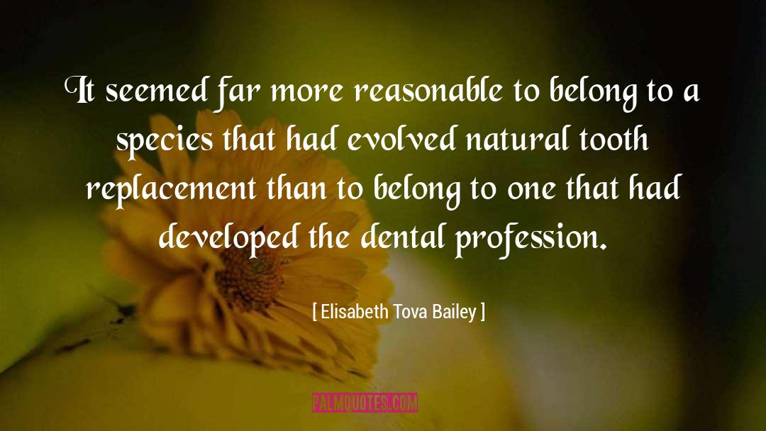 Dentistry quotes by Elisabeth Tova Bailey
