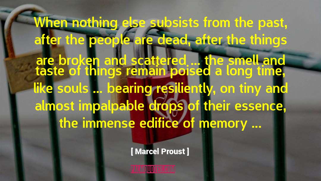 Departed Souls quotes by Marcel Proust