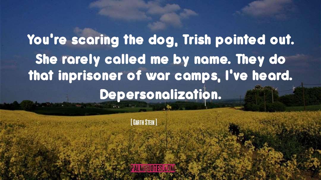 Depersonalization quotes by Garth Stein