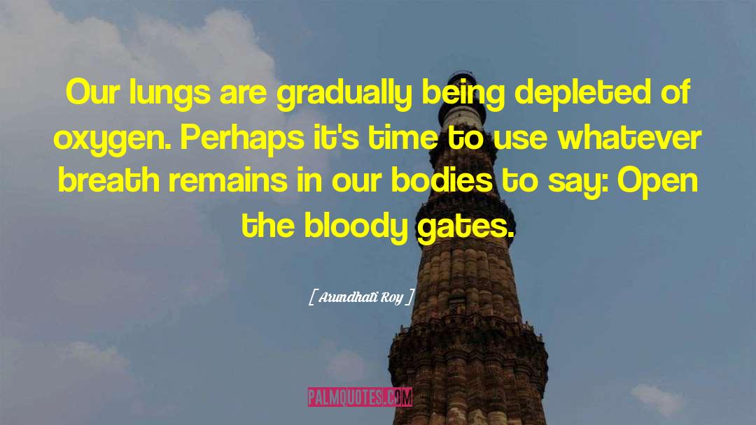 Depleted quotes by Arundhati Roy