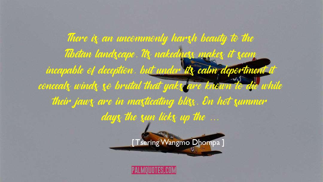 Deportment quotes by Tsering Wangmo Dhompa