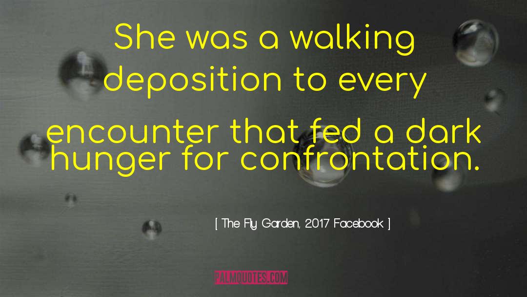 Deposition quotes by The Fly Garden, 2017 Facebook