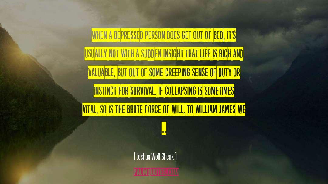 Depressed Person quotes by Joshua Wolf Shenk