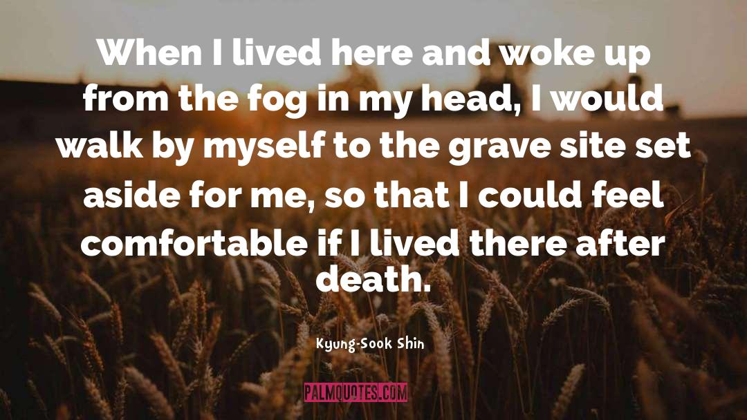 Depression And Death quotes by Kyung-Sook Shin