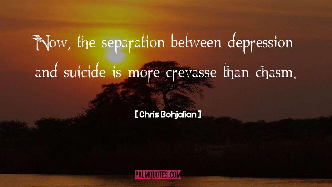 Depression And Suicide quotes by Chris Bohjalian