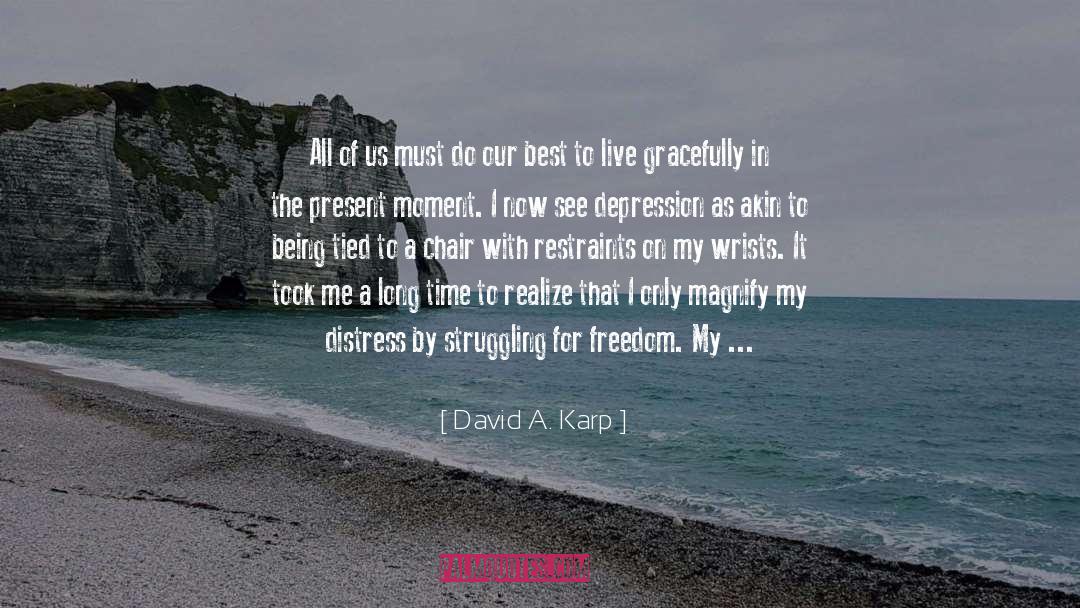 Depression Mental Illness quotes by David A. Karp