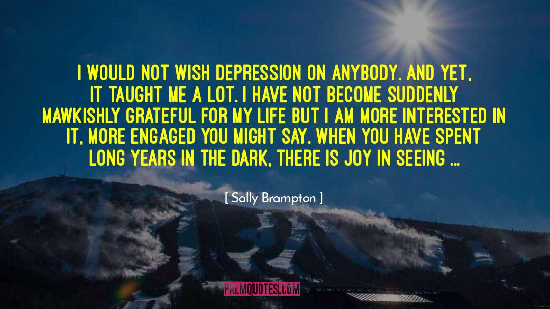 Depression Poem quotes by Sally Brampton