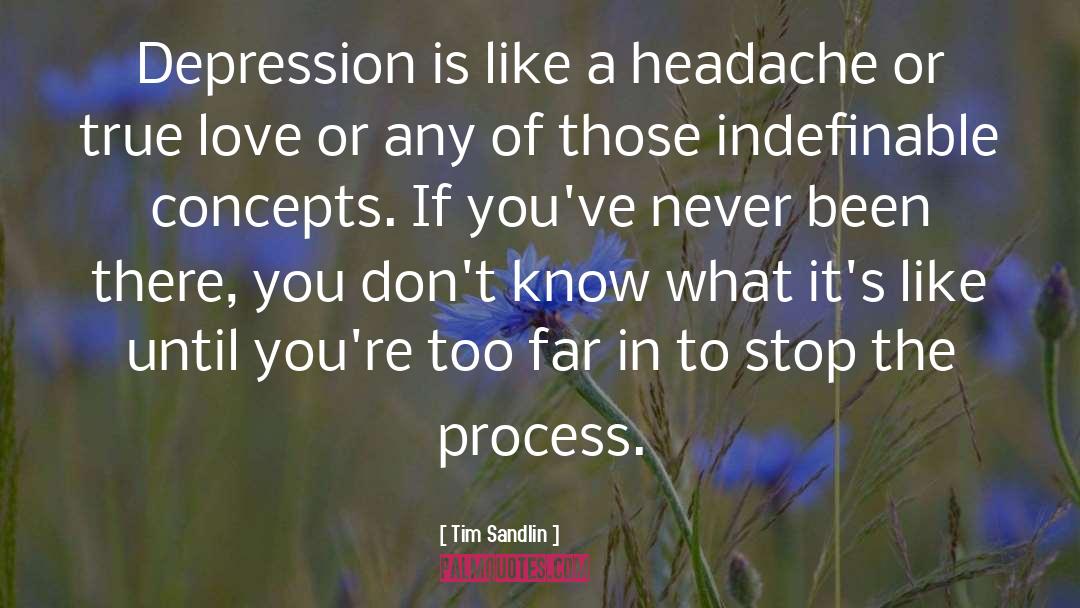 Depression quotes by Tim Sandlin