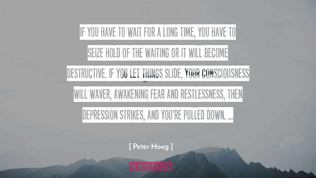 Depression quotes by Peter Hoeg