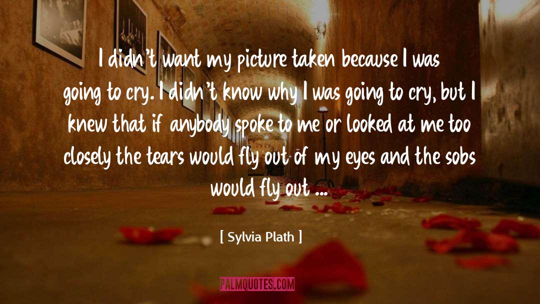 Depression Stories quotes by Sylvia Plath