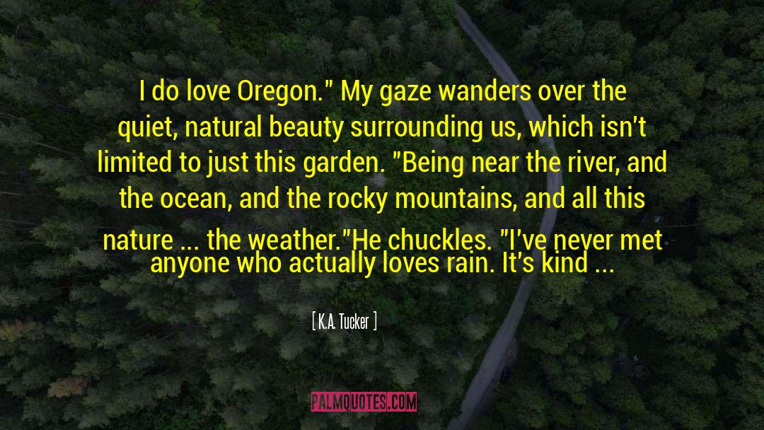 Depressional Rainfall quotes by K.A. Tucker
