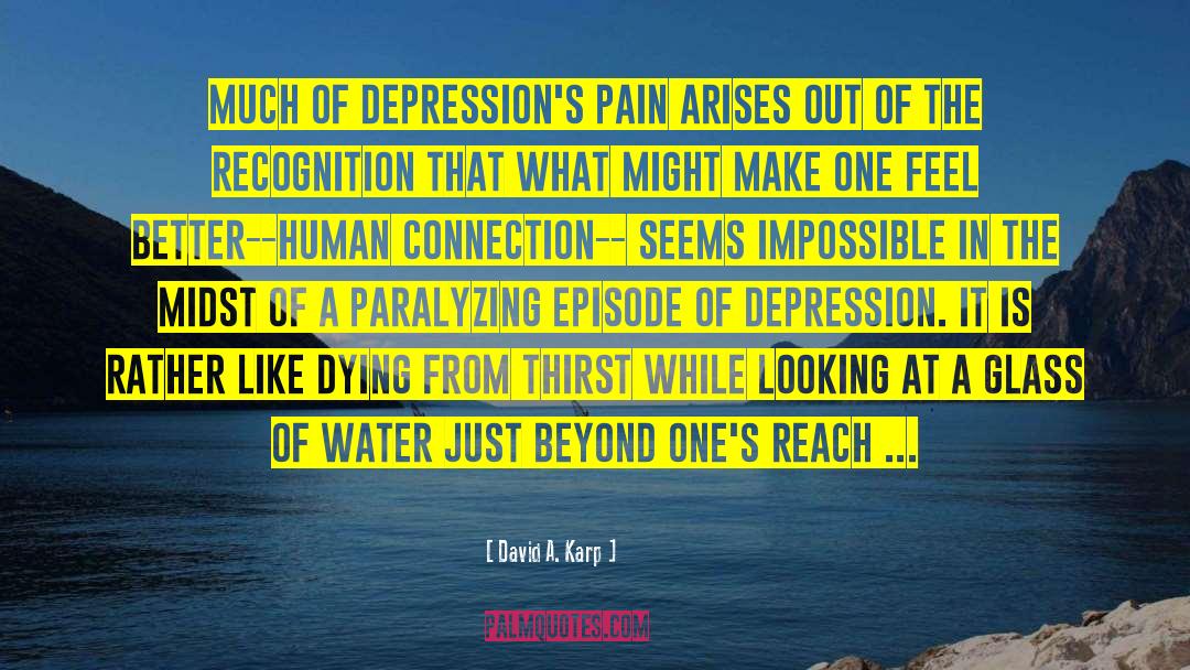 Depressions quotes by David A. Karp