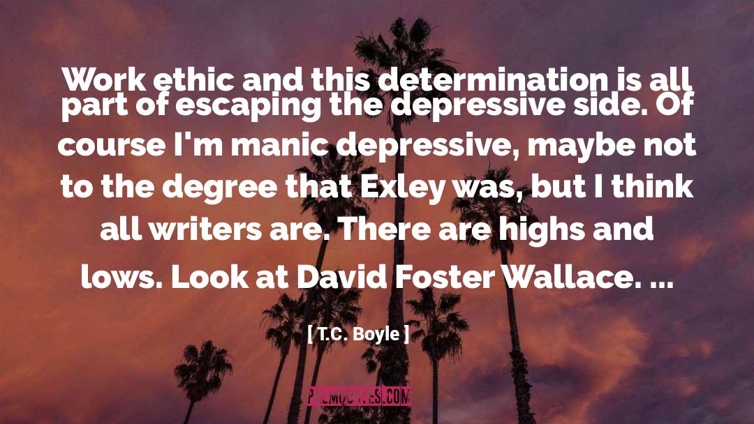 Depressive quotes by T.C. Boyle