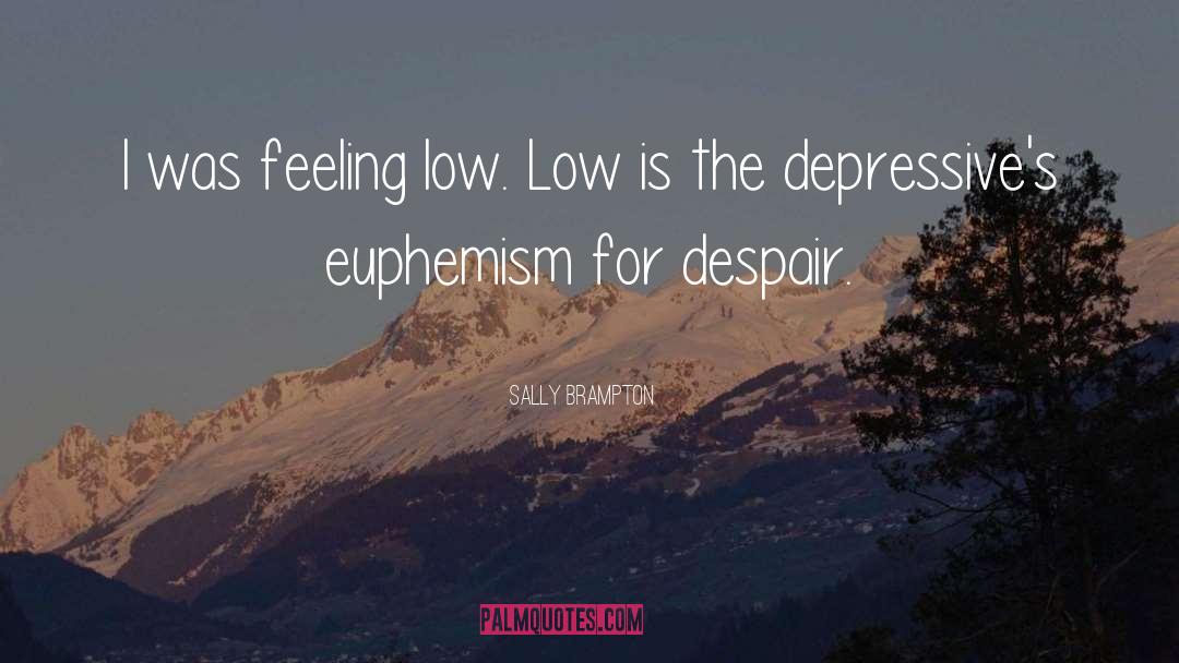 Depressives quotes by Sally Brampton