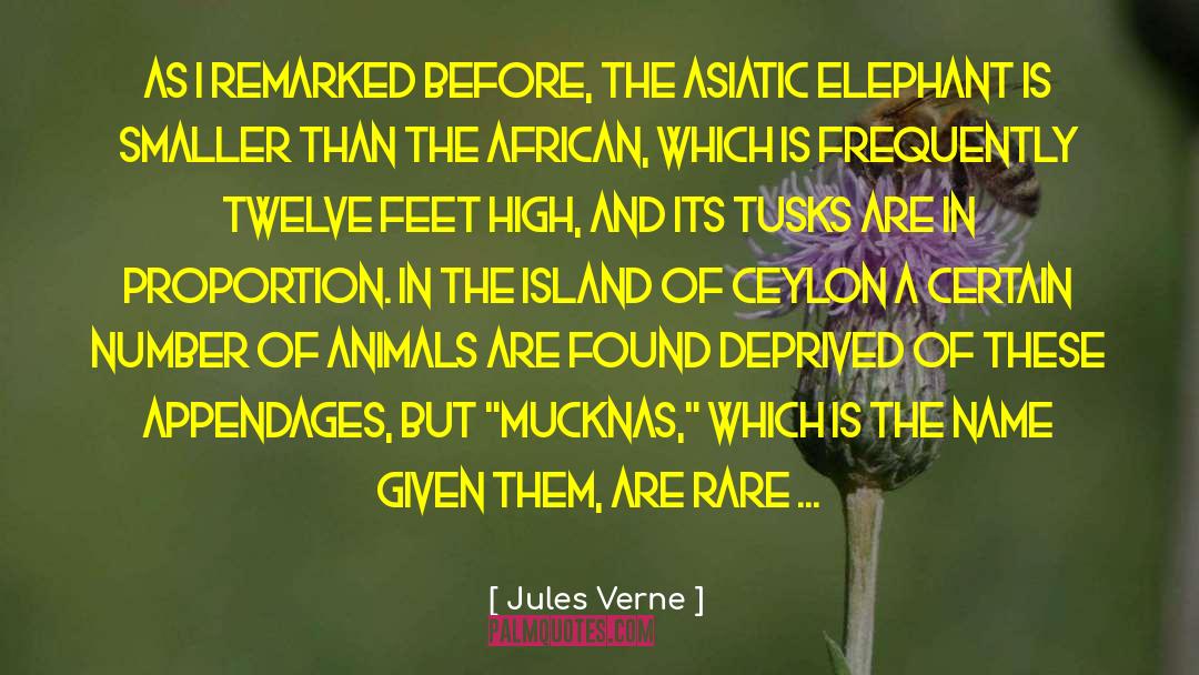 Deprived quotes by Jules Verne