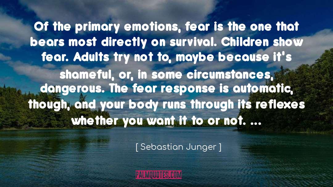 Depth Of Emotions quotes by Sebastian Junger