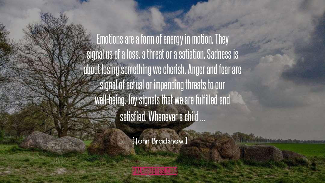 Depth Of Emotions quotes by John Bradshaw