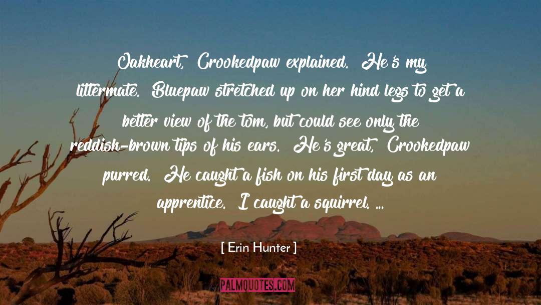 Deputies quotes by Erin Hunter