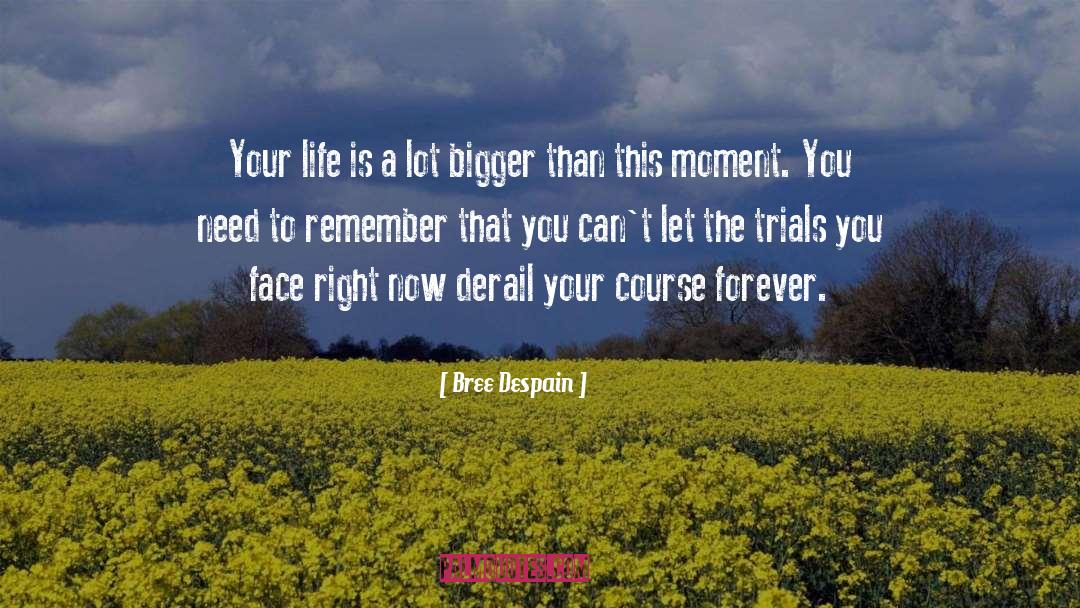 Derail quotes by Bree Despain