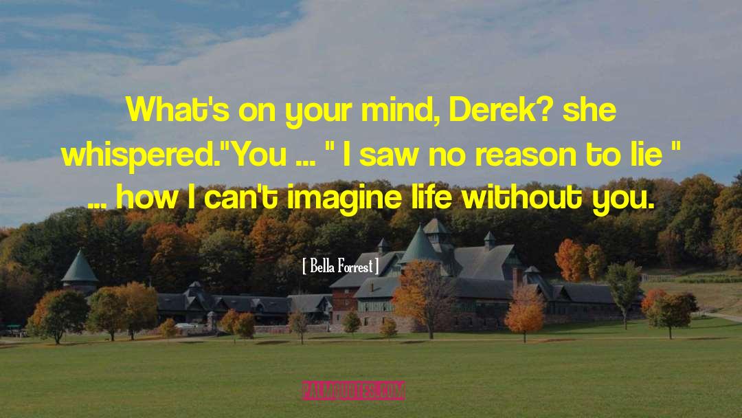 Derek Novak quotes by Bella Forrest