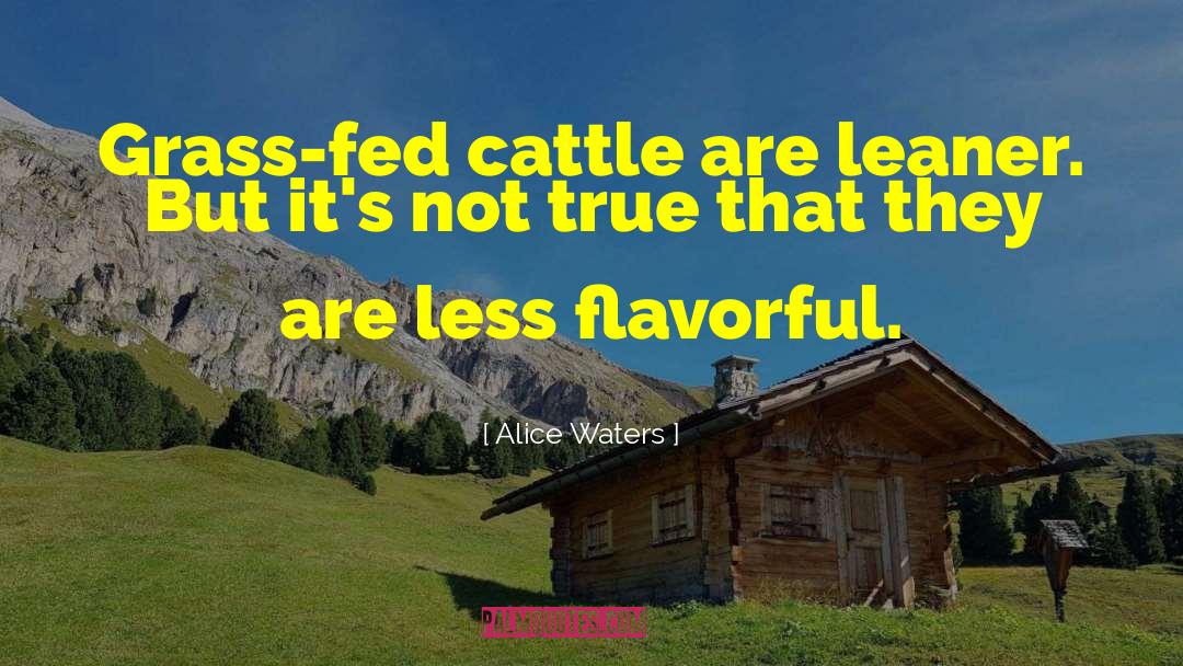 Derkowski Cattle quotes by Alice Waters