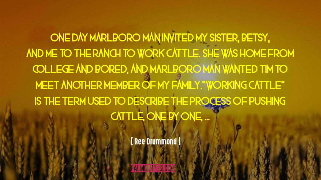Derkowski Cattle quotes by Ree Drummond